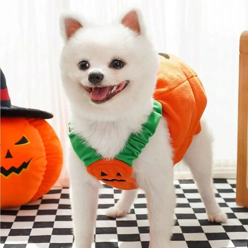 1pc Pet Dog Pumpkin Halloween & Christmas Costume, Funny Biped Cat Dog Apparel